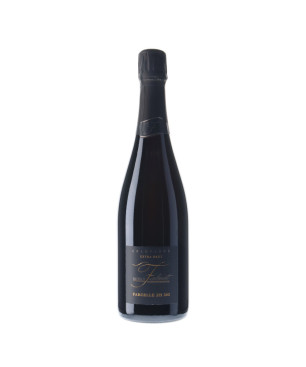 Nathalie Falmet - Champagne Extra-Brut ZH303 - MAGNUM | Vin-malin