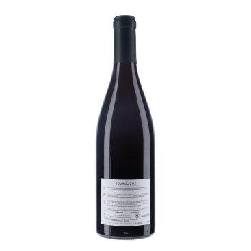 Domaine Maurice Lapalus - Bourgogne Pinot Noir 2023 - vin|vin-malin.fr