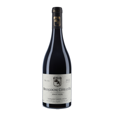 Domaine Fabien Coche -Bourgogne Côte-D'Or Pinot Noir 2022|vin-malin.fr