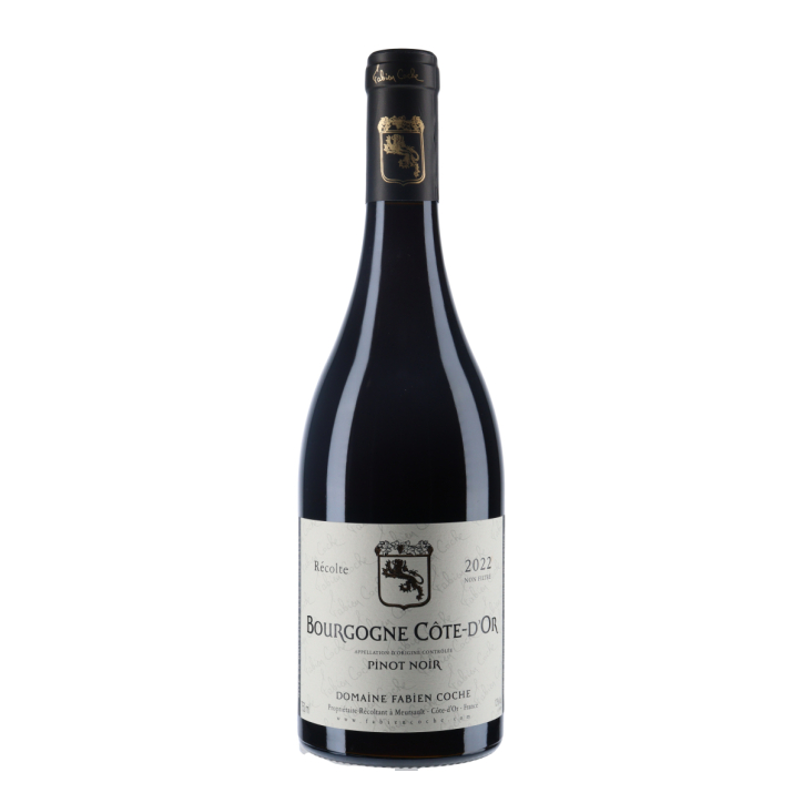 Domaine Fabien Coche Bourgogne Côte-D'Or Pinot Noir 2022