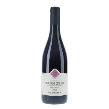 Rion Delhautal - Bourgogne Côte D'Or Pinot Noir 2022 -vin|vin-malin.fr