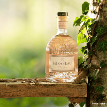 Mirabeau Dry Gin Rosé 43° - Gin rosé produit en France | Vin-Malin.fr