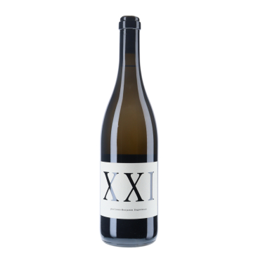 Domaine Dagueneau Vin de France "XXI" 2021 | Vin-malin