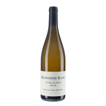 Domaine Pierre Boisson Bourgogne Les Belles Côtes 2019 I Vin-malin