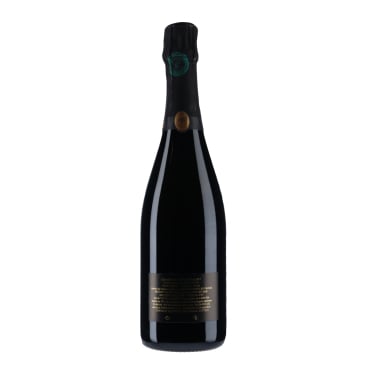 Champagne Nathalie Falmet - Extra-Brut Parcelle ZH302 | vin-malin.fr