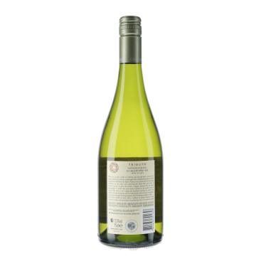 Caliterra Sauvignon Blanc "Tributo" 2015 - Vins du Chili|Vin Malin.fr