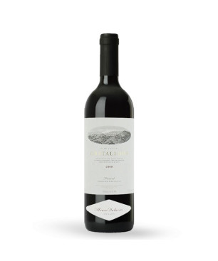 Alvaro Palacios Gratallops Vi de la Vila 2008 - Vin Rouge d'Espagne