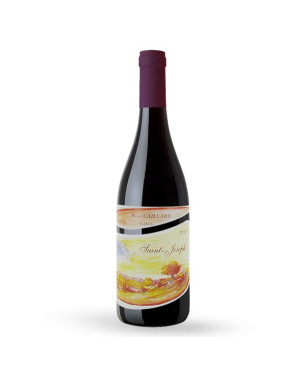 Domaine Pierre Gaillard Saint Joseph 2011 - Vin rouge de Saint Joseph