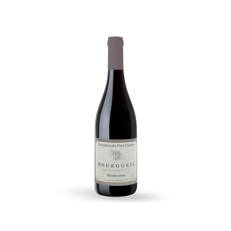 Domaine du Pied Fourrier Bourgueil 2009