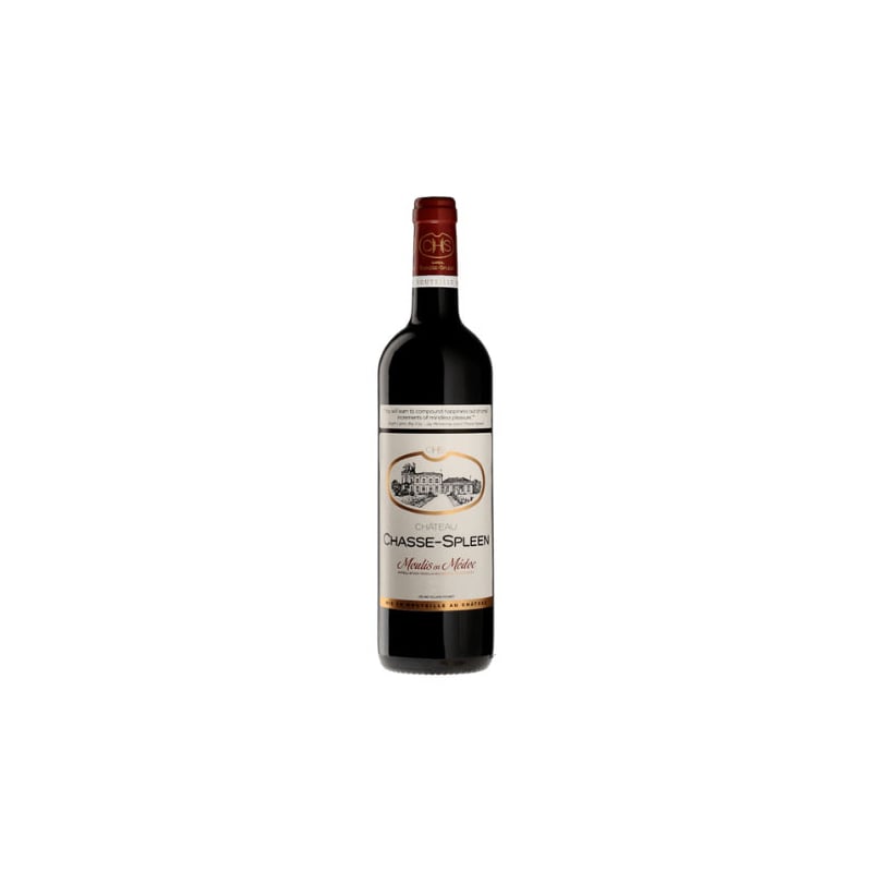 Château Chasse Spleen 2021 Moulis en Médoc grand Vin rouge de Bordeaux