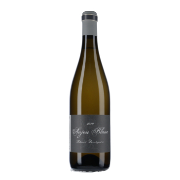 Thibaud Boudignon Anjou Blanc 2019 Vin Blanc de Loire | vin-malin
