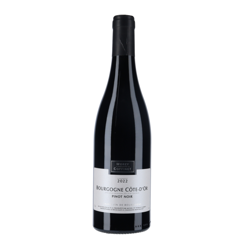 Domaine Morey-Coffinet Bourgogne Côte-d'Or Pinot Noir 2022 | Vin-malin