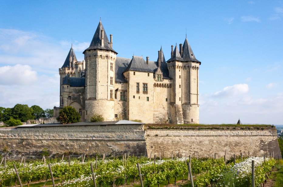 Chateau Loire