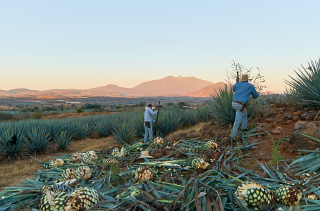 Tequila Mexique