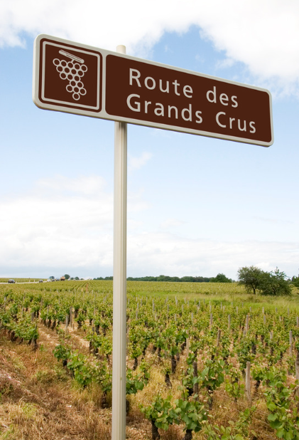 Route des Grands Crus