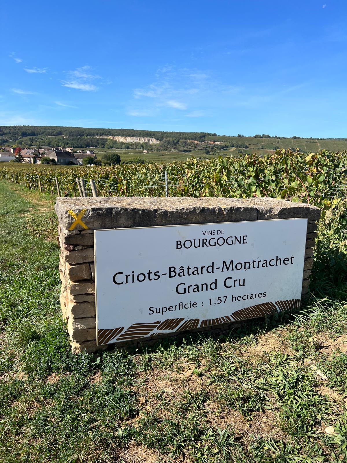 Appellation Chassagne Montrachet