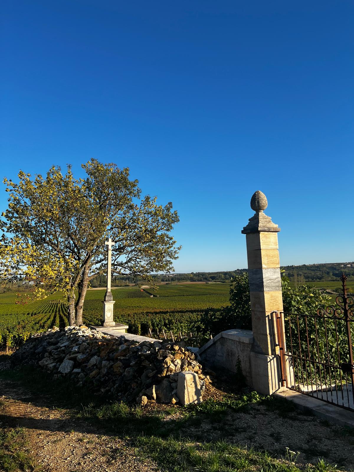 Appellation Chassagne Montrachet