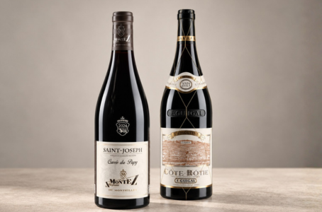Côte-Rôtie ou Saint-Joseph : quelles différences et comment choisir ?