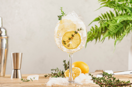 Tout savoir sur le gin tonic