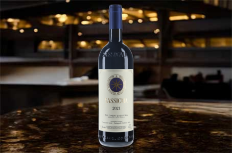 Sassicaia : histoire et excellence du vin iconique de Tenuta San Guido